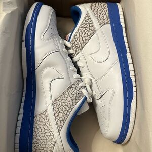 Never Worn Nike Dunk SB Pro low - White